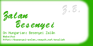 zalan besenyei business card
